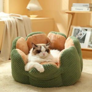 cat bed