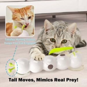 Automatic Electric Cat Toy