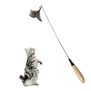 cat teaser toy