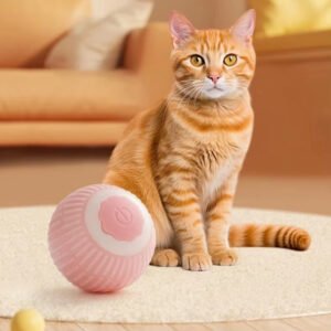 cat ball toy