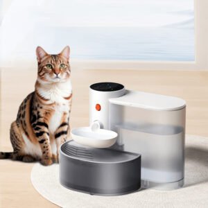 cat fountian