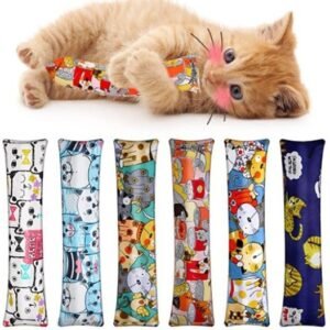 cat tube toy