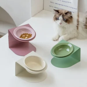 Feeders & Dishes