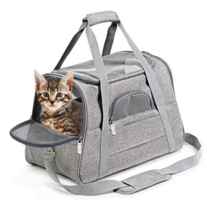 Travel bag and carrier