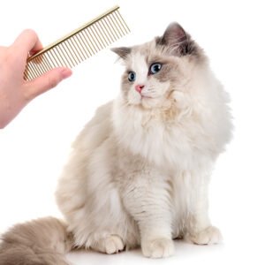 Grooming tool