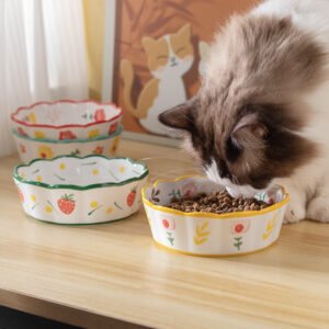 cat ceramic food  bowl