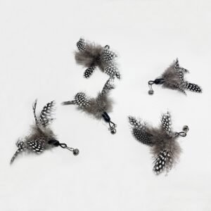 cat teaser attchment