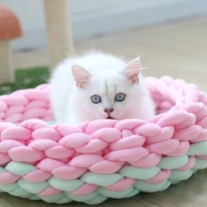 cat bed